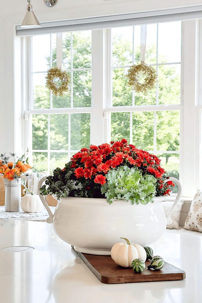 Potted red mums and kale arranged in a white tureen with mini pumpkins and gourds, a budget friendly fall decorating idea.