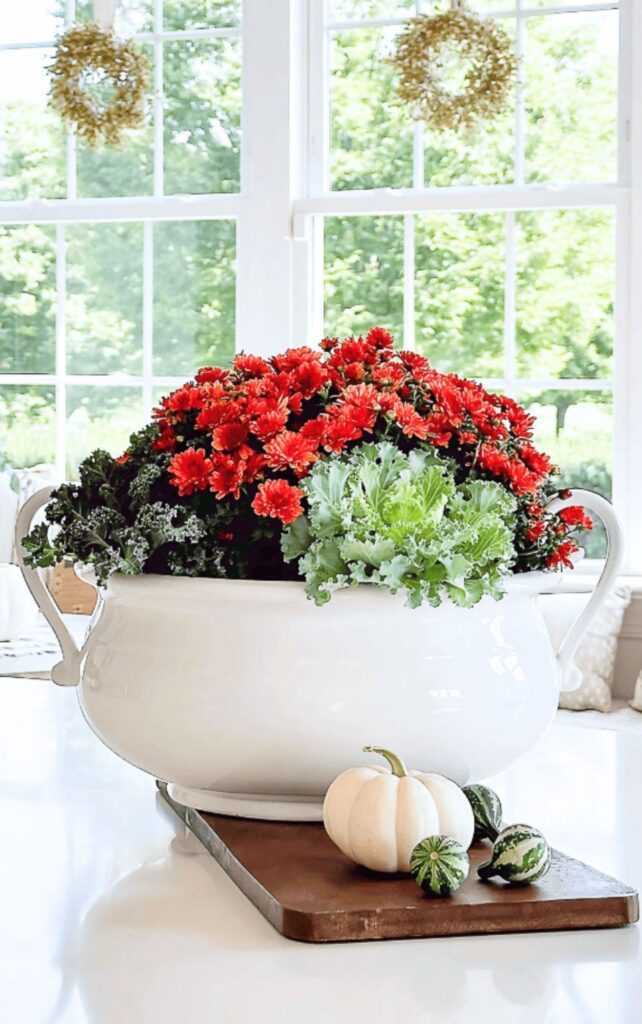 Red mums and ornamental kale in a white ironstone tureen with white pumpkins and gourds