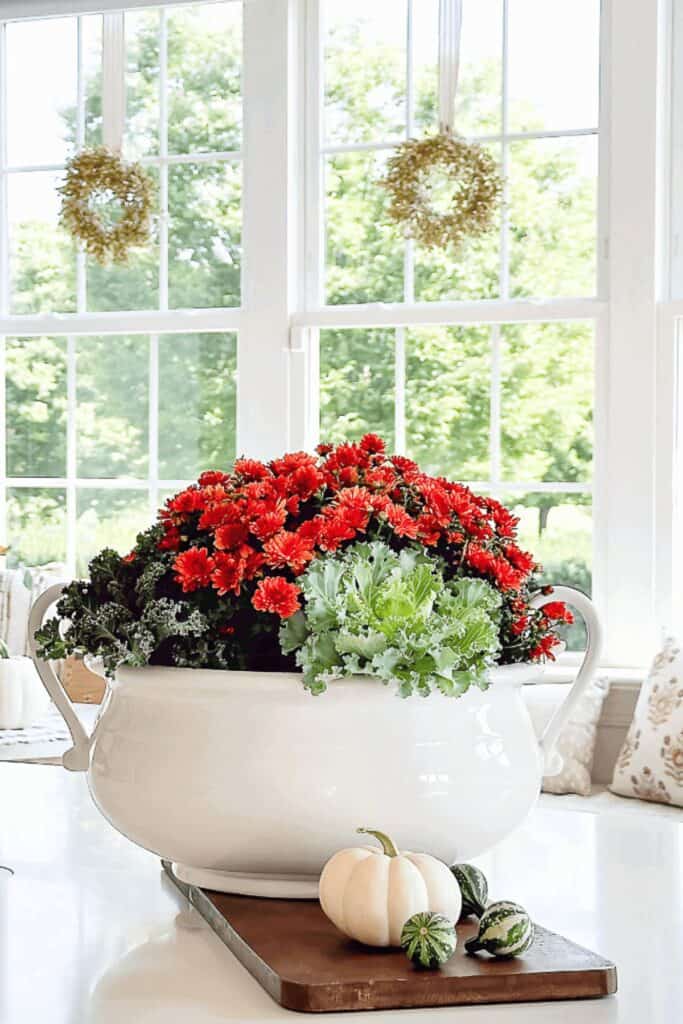 White tureen filled with red mums and ornamental kale on a kitchen island with small pumpkins and hanging fall wreaths in the window