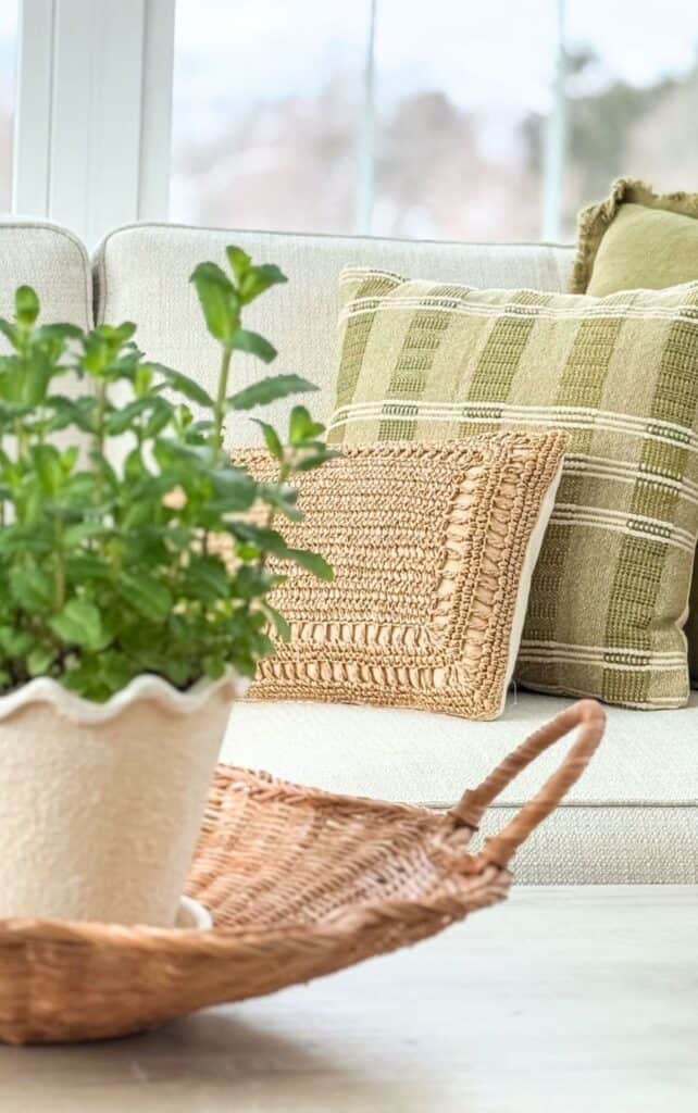 Neutral sofa layered with a green striped pillow, a woven raffia pillow, and a fringed olive pillow, with a scalloped planter and woven basket in the foreground.