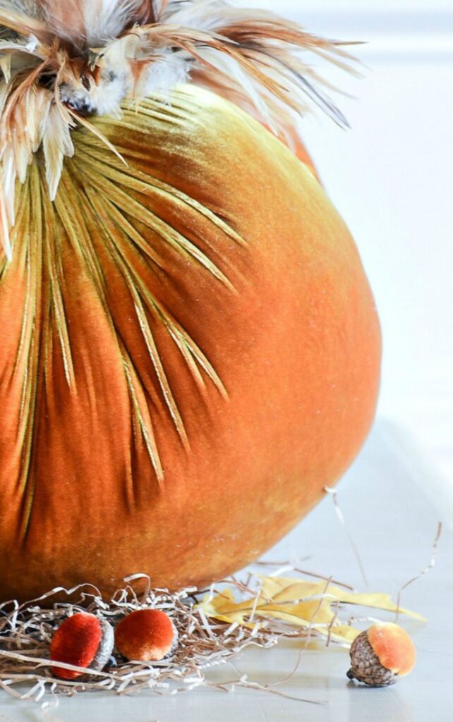 Orange velvet pumpkin with pheasant feathers and velvet acorns on a table