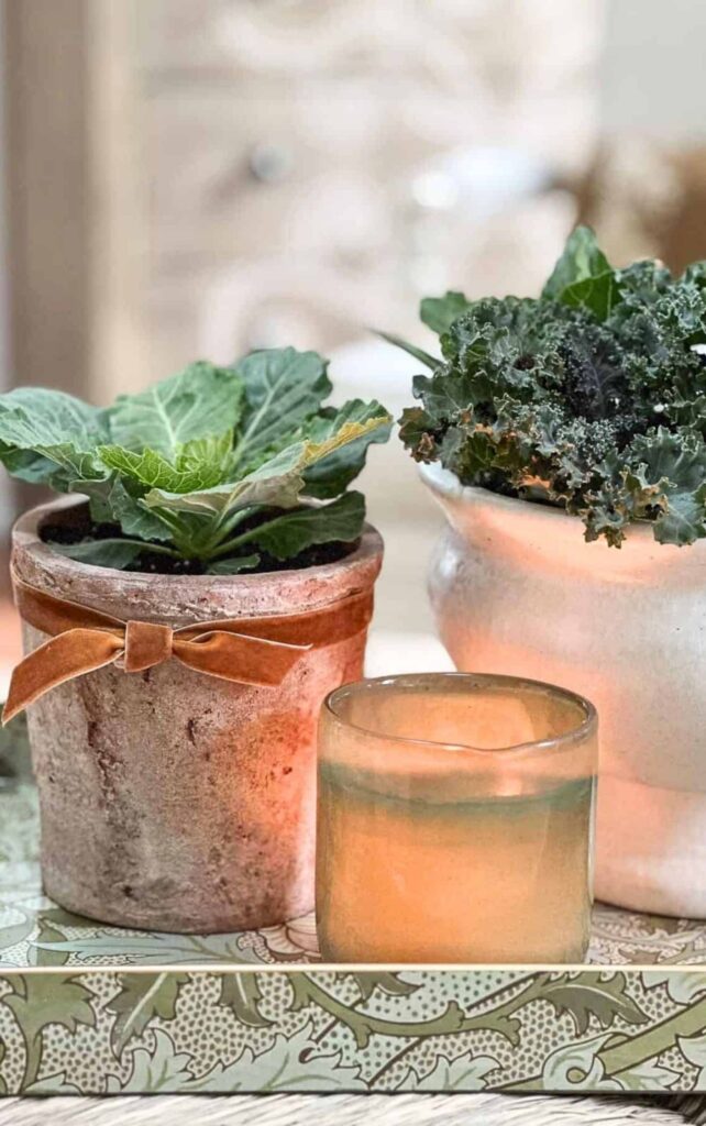 white-pumpkin-mums-kale-in-tureen.jpg