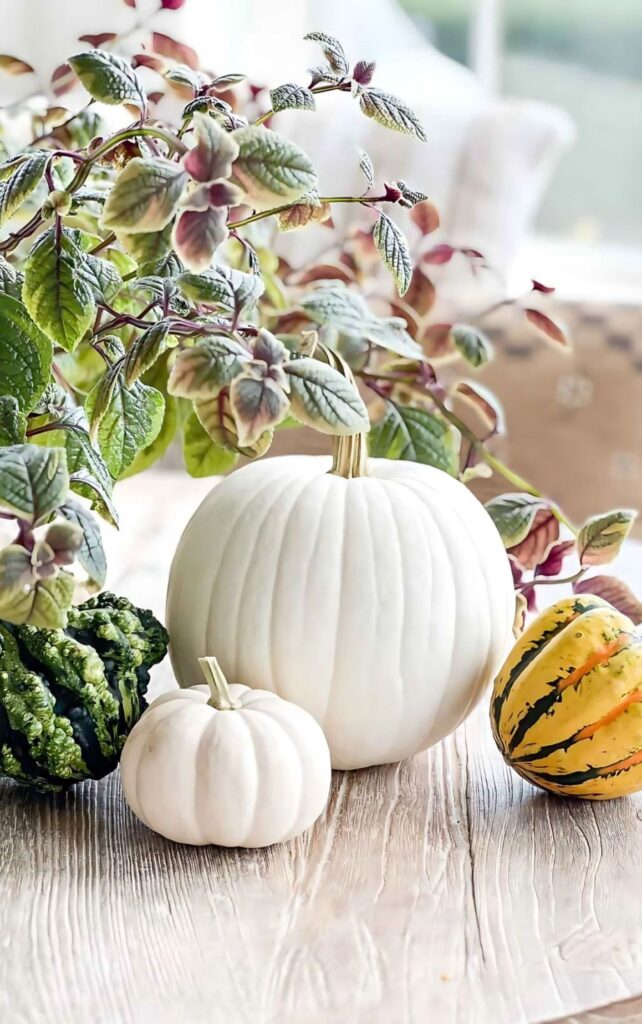 White pumpkins and a green gourd on a wood table with trailing coleus leaves