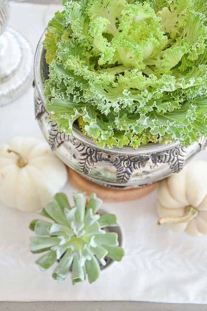 Decorating with pumpkins and greenery in silver cachepots — a fresh fall decorating idea combining pumpkins, kale, and succulents.