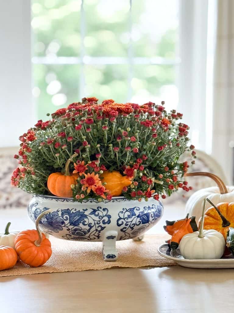Fall centerpiece of red and orange mums with mini orange pumpkins and gourds in a blue and white footed bowl on a woven table runner, a classic idea for decorating with pumpkins.