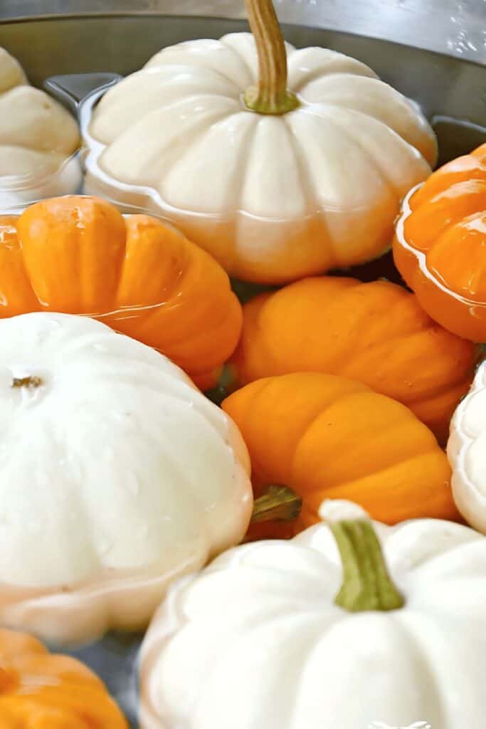 White and orange pumpkins soaking in water to clean and preserve them for longer-lasting fall decorating.