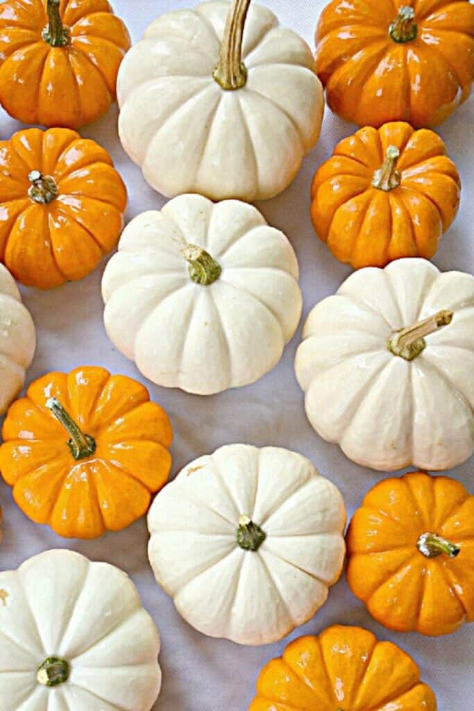 Orange and white baby pumpkins arranged in rows on a white surface for easy fall decorating ideas.