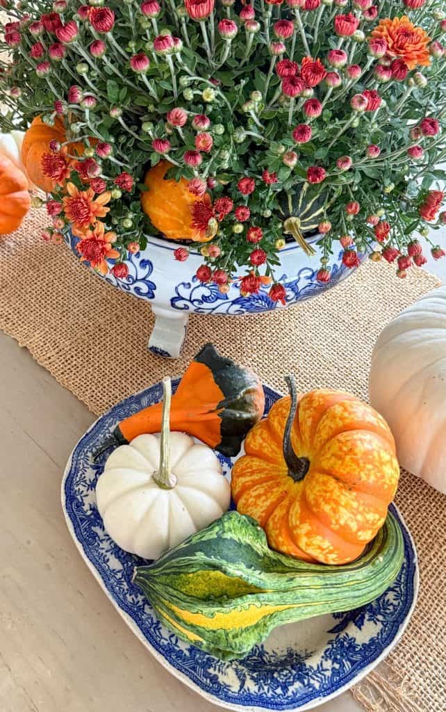 Orange and white mini pumpkins with striped gourds on a blue and white transferware platter beside a large white pumpkin, showing how orange pumpkins look classic with blue and white decor.
