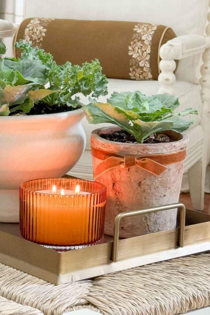 Neutral fall decorating with ornamental cabbage in terracotta pots and a glowing amber candle on a woven tray.
