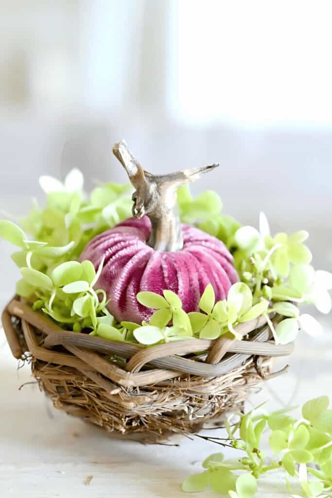 Small velvet pumpkin in a bird’s nest with green hydrangea petals, soft neutral fall decor accent, easy pumpkin decorating idea.