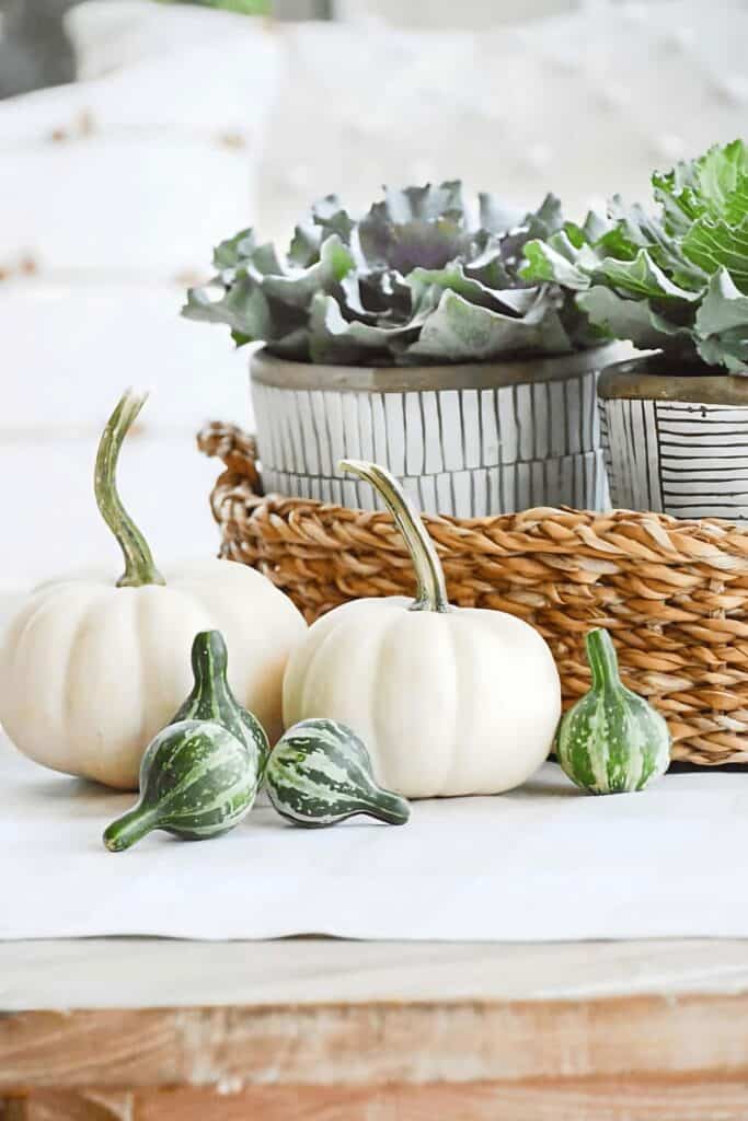 white pumpkins beside a low sided basket with containers of ornamental cabbage