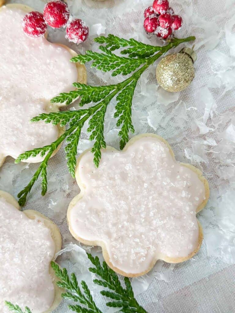 SUGAR COOKIE ON A BED OF SNOW AND CHRISTMAS GREENS