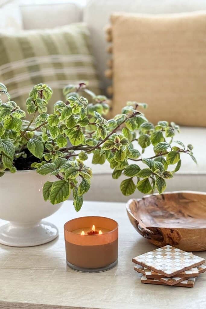Ten minute decorating idea showing a coffee table styled with a potted plant, candle, wood bowl, and soft neutral accents