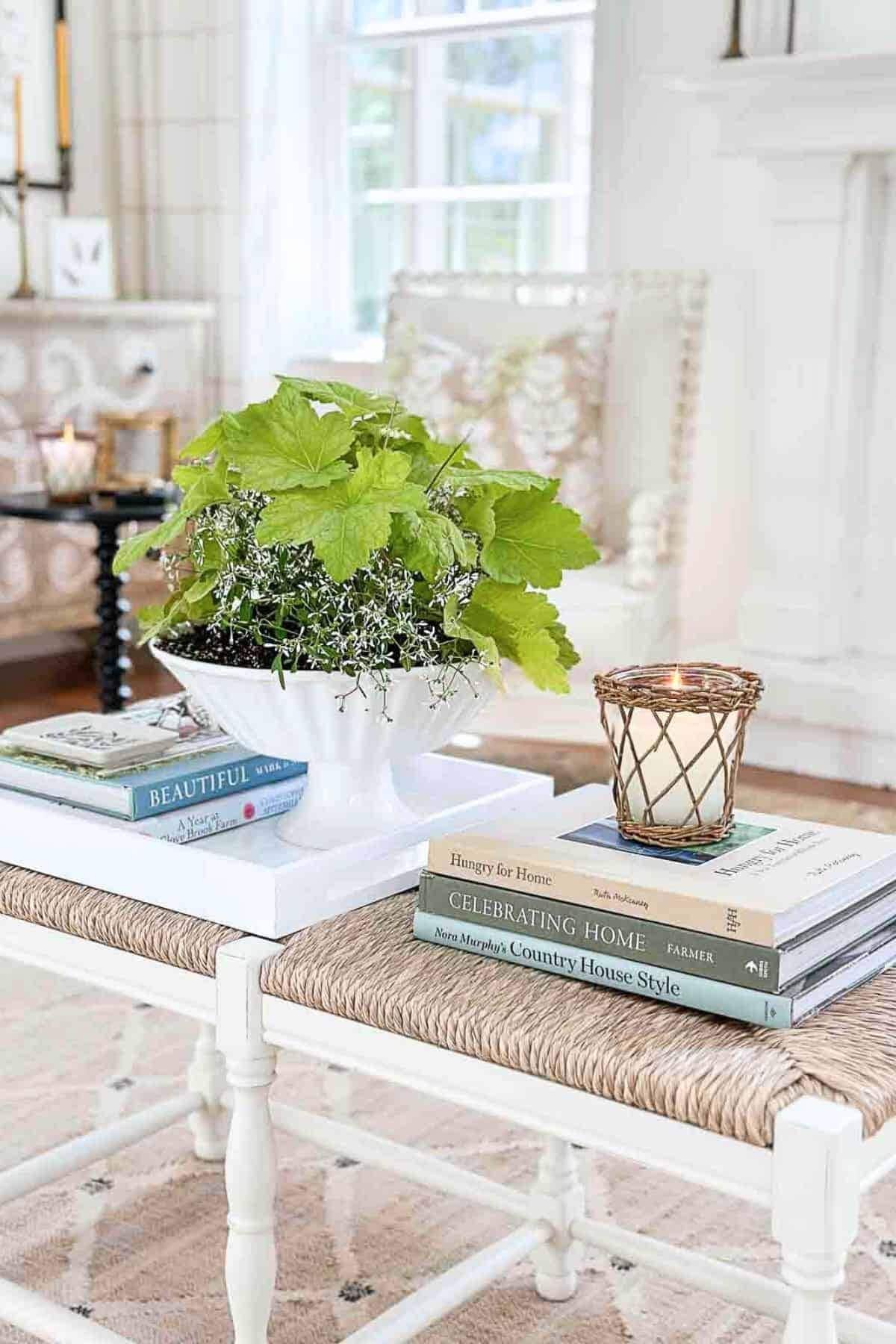 coffee table with a plant and other decor on it