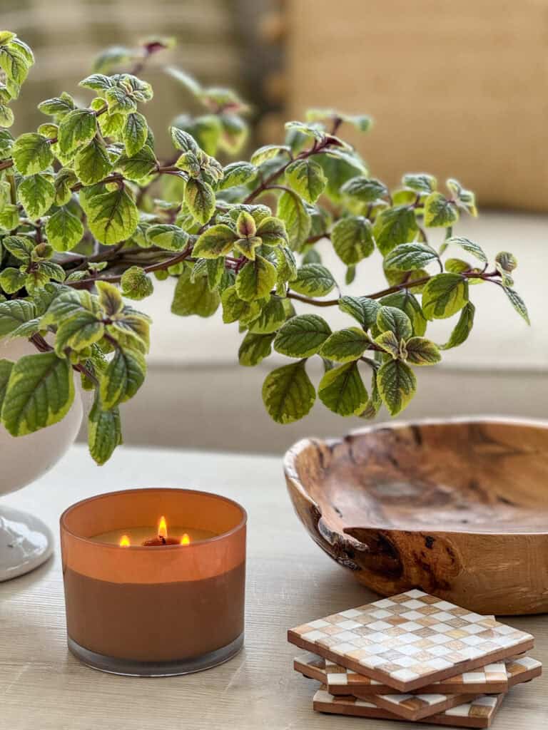 Close up of a coffee table styled with a potted trailing plant, a lit candle in a glass jar, a carved wooden bowl, and stacked square coasters
