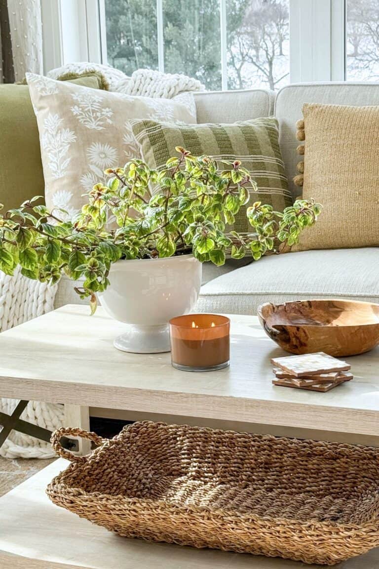 coffee table with plant in a sunroom