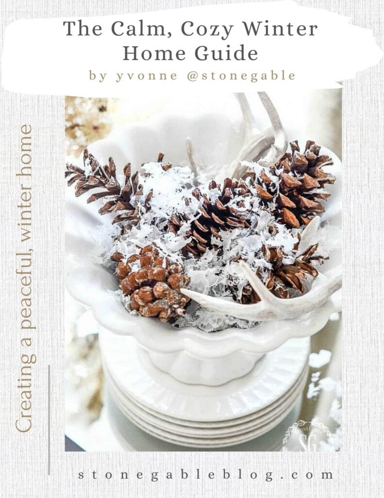 cover to the winter e-magazine