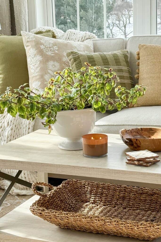 Coffee table styled with a potted plant in a white urn, a glass candle, a wooden bowl, stacked coasters, and a woven basket underneath