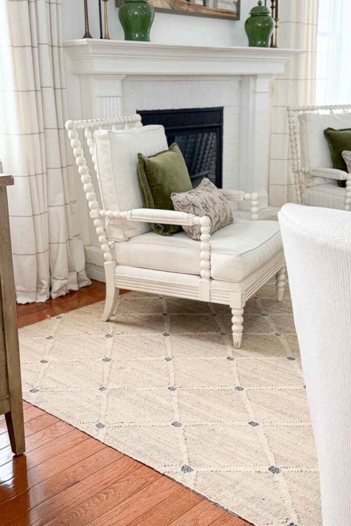 rug in the living room