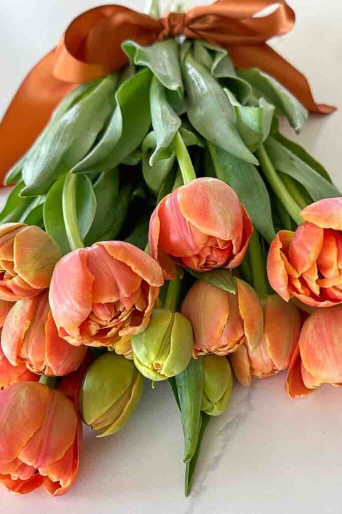 Caring for Cut Tulips