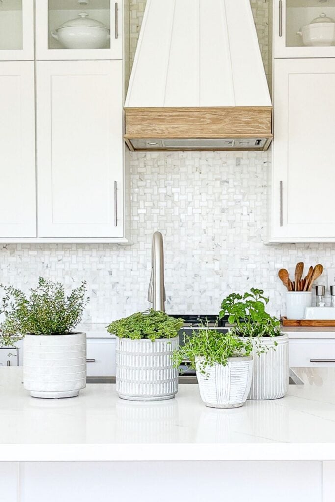 Potted herbs styled on a white kitchen island, adding greenery and life to a winter kitchen in February