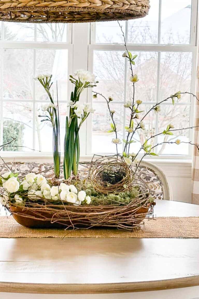 spring dough bowl