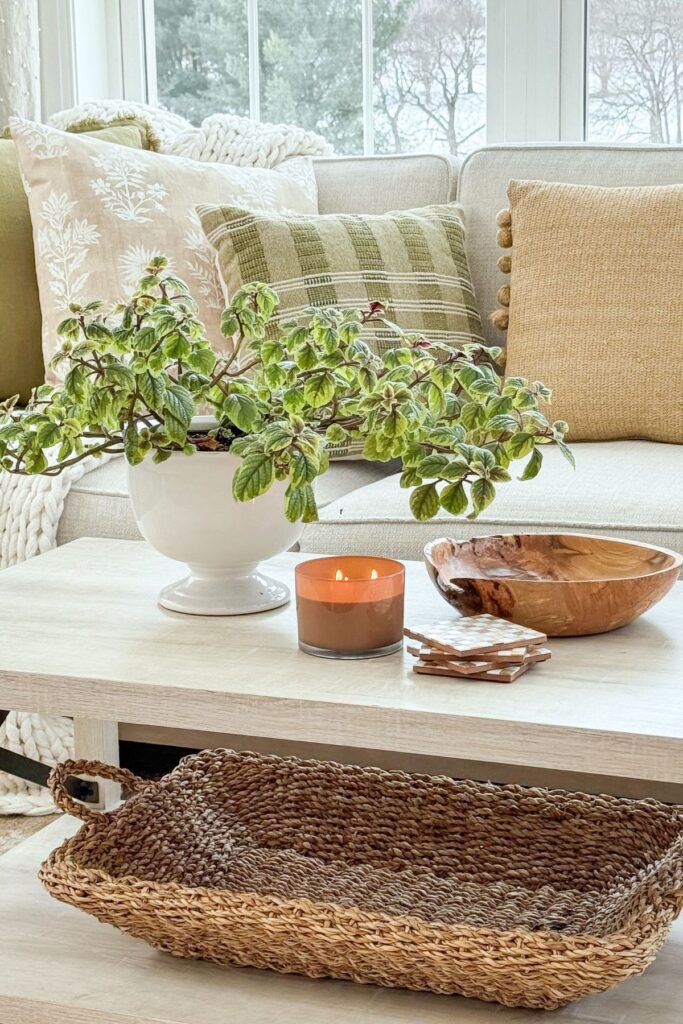 coffee table styled with potted greenery, candle, wood bowl and coasters in a neutral living room