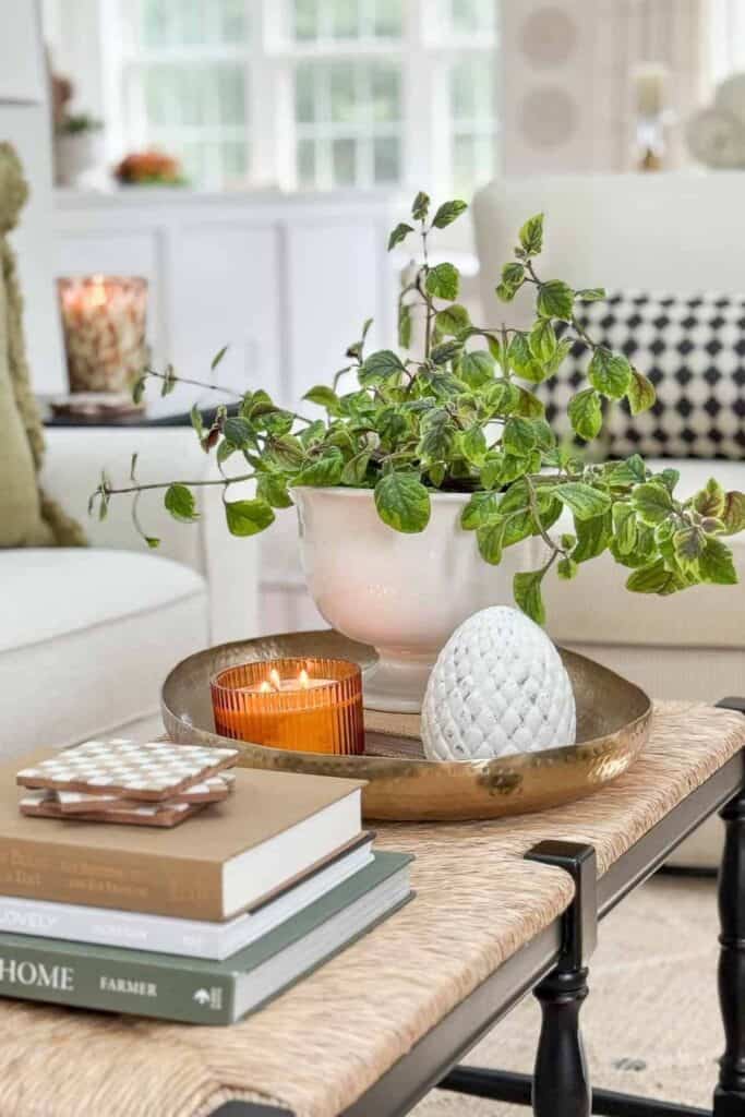 coffee table styled with books, tray, candle and potted greenery for a simple vignette