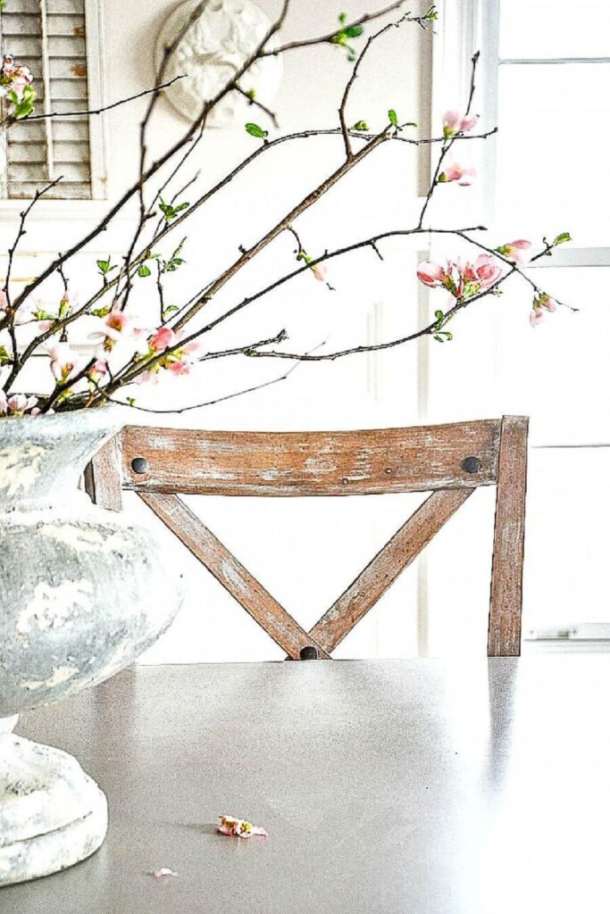 forcing spring branches to bloom indoors in a large vase with pink blossoms