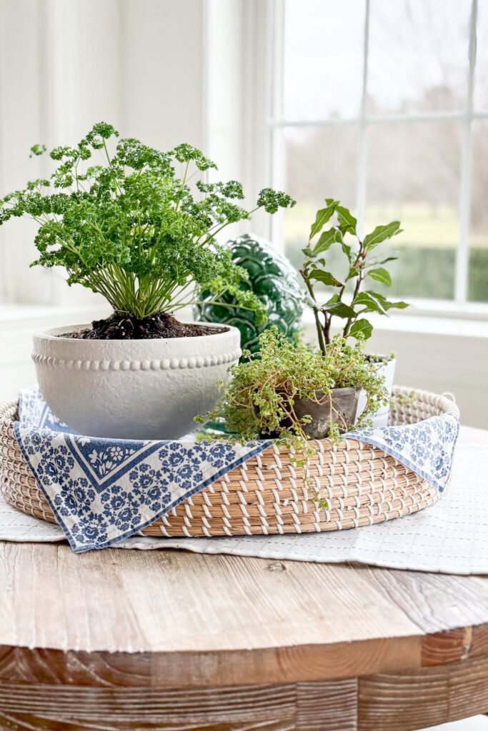 spring table centerpiece with woven tray holding potted herbs and plants near a bright window