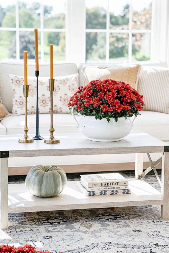 coffee table styled with red mums, brass candlesticks, and pumpkin on a lower shelf in a neutral living room