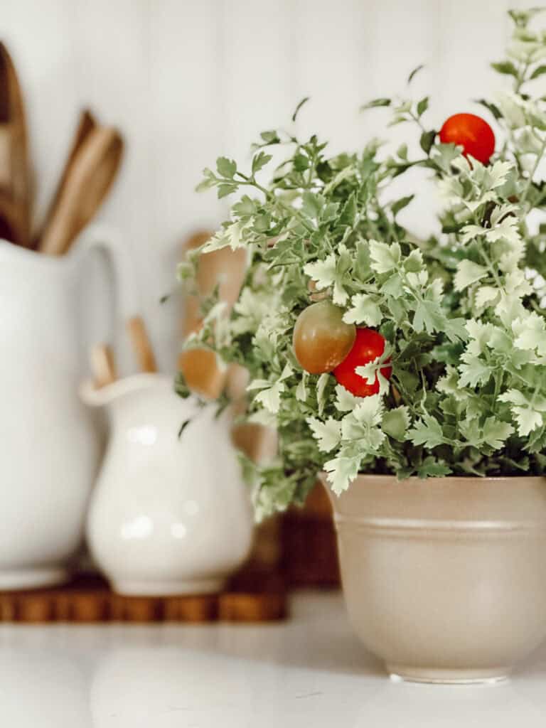 Plant in natural colored containers