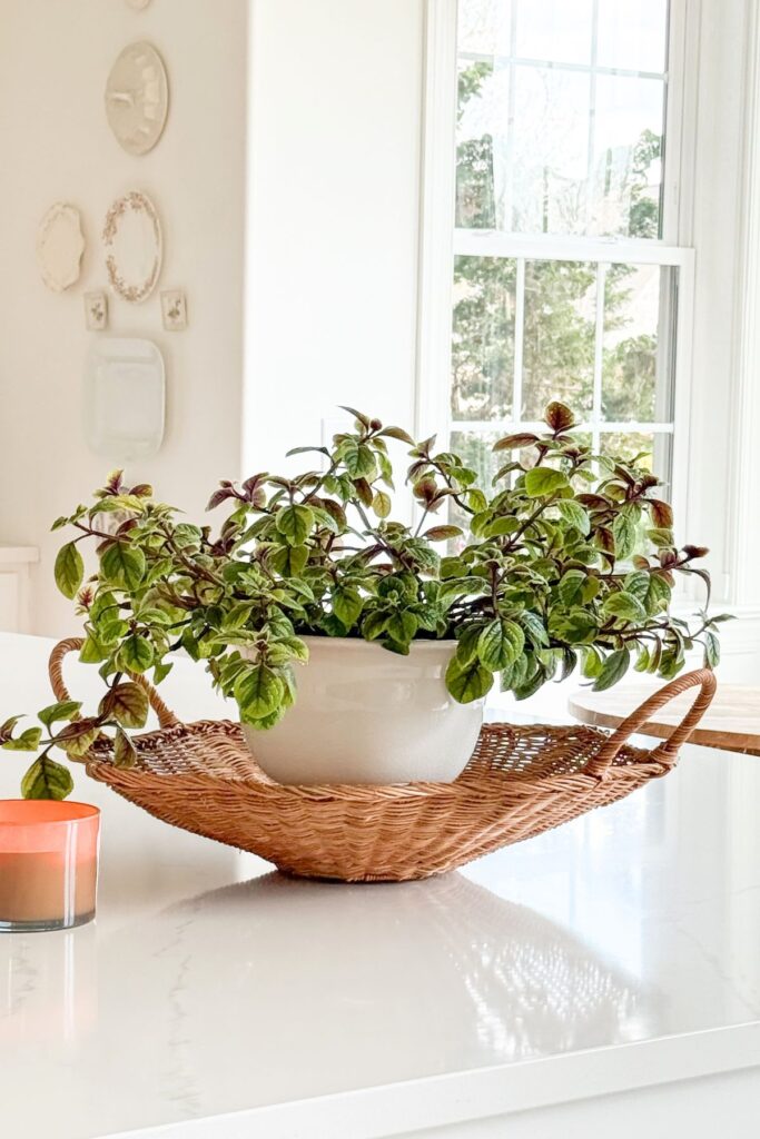 kitchen island styled with large vase of greenery and small candle in a bright neutral kitchen