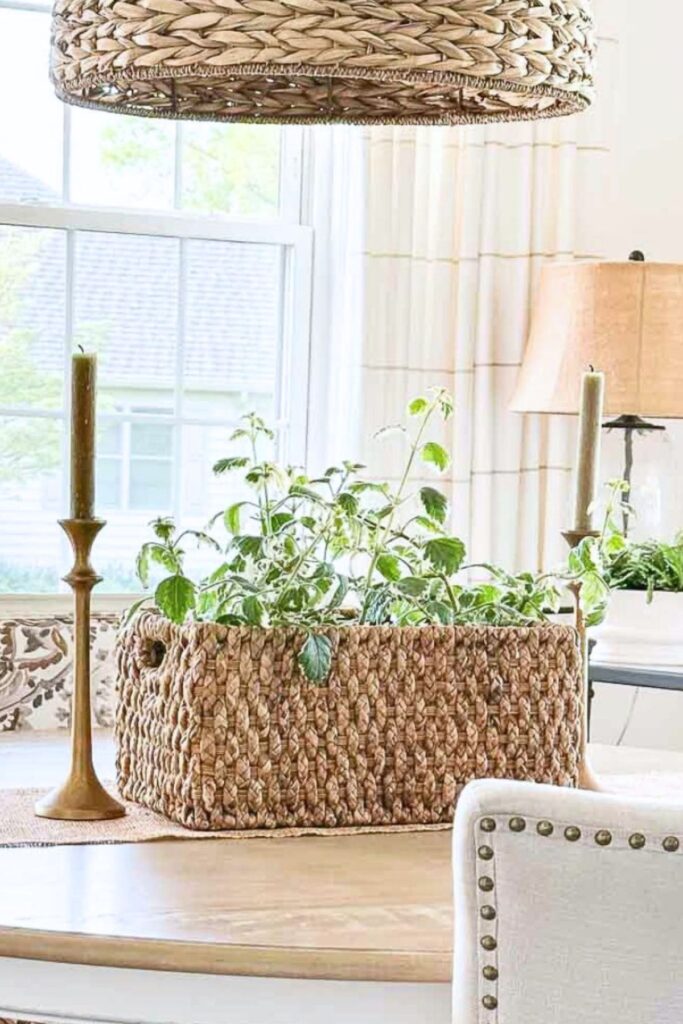 lush green plant in a woven basket centerpiece on a dining table flanked by brass candlesticks under a woven pendant light for summer decorating