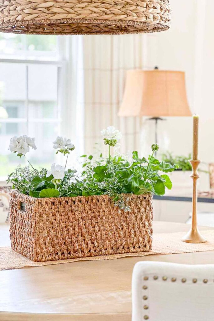 white geraniums planted in a woven basket centerpiece on a dining table for simple summer decorating