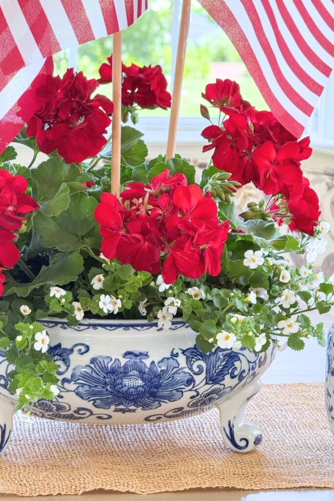 Close up of Calliope Large Dark Red geraniums and white Bacopa spilling over the edge of a blue and white footed bowl with American flags for a patriotic arrangement.