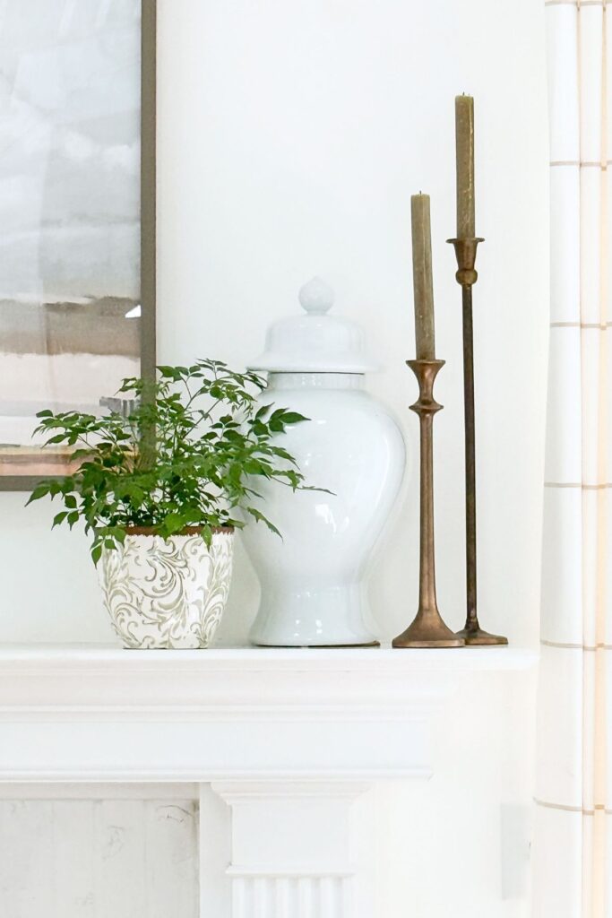 close-up of a live plant, ginger jar, and candles on the mantel
