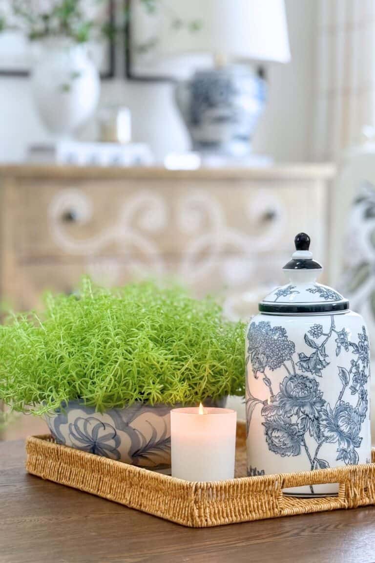 vignette with a plant in the living room