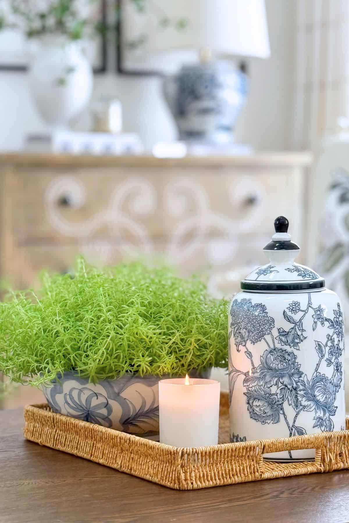 vignette with a plant in the living room