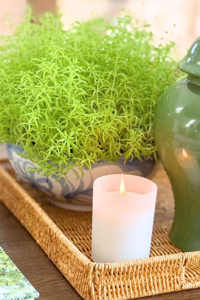 Lit candle styled beside lime sedum and a green ginger jar on a woven tray for a midsummer decorating refresh