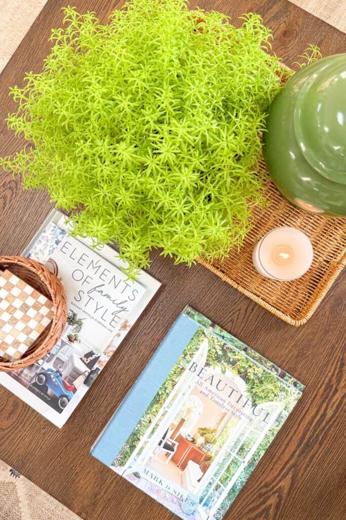 Top view of a midsummer decorated coffee table with a lush potted plant, stacked books, a candle, and a green ginger jar
