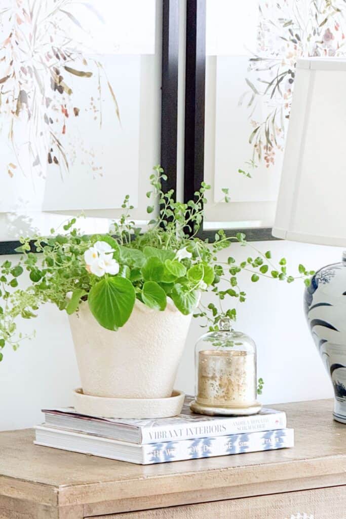 Trailing green plant with small white blooms in a textured white pot styled on books for a midsummer decorating refresh