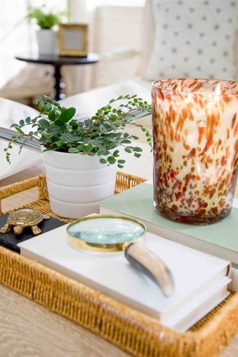 close up of a vignette on a coffee table that took 10 minutes to decorate