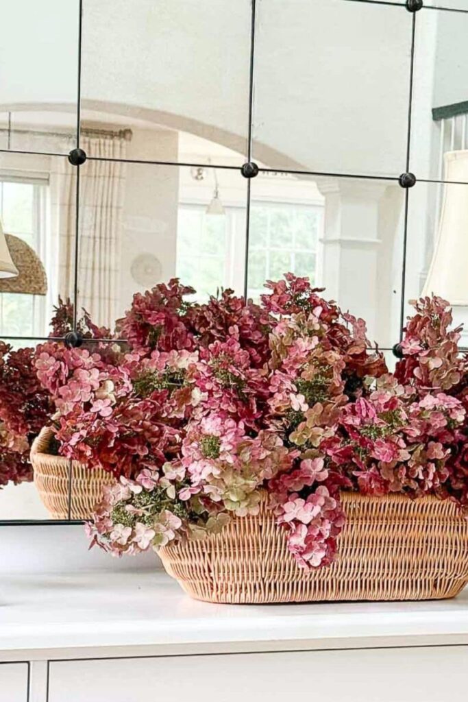 Dried oak leaf hydrangeas in shades of burgundy, red, and pink in a woven basket on a white console