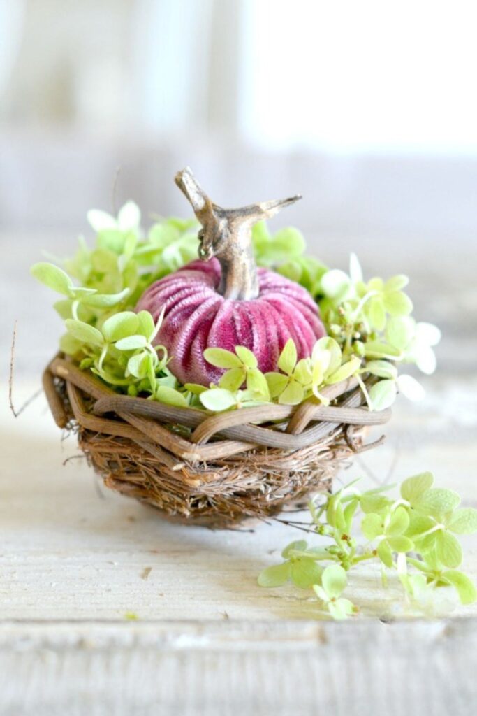 Green hydrangea florets tucked into a small twig nest with a pink velvet pumpkin