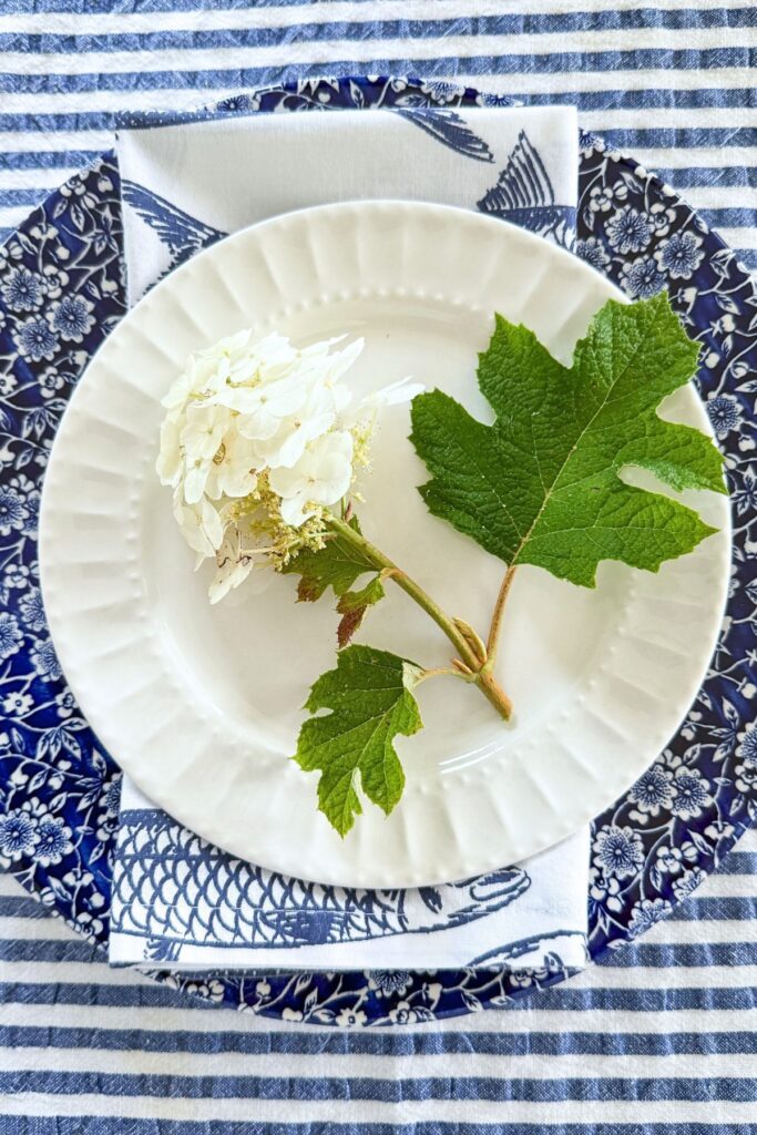 A single white oak leaf hydrangea bloom and leaf on a white plate styled with blue and white china for a place setting