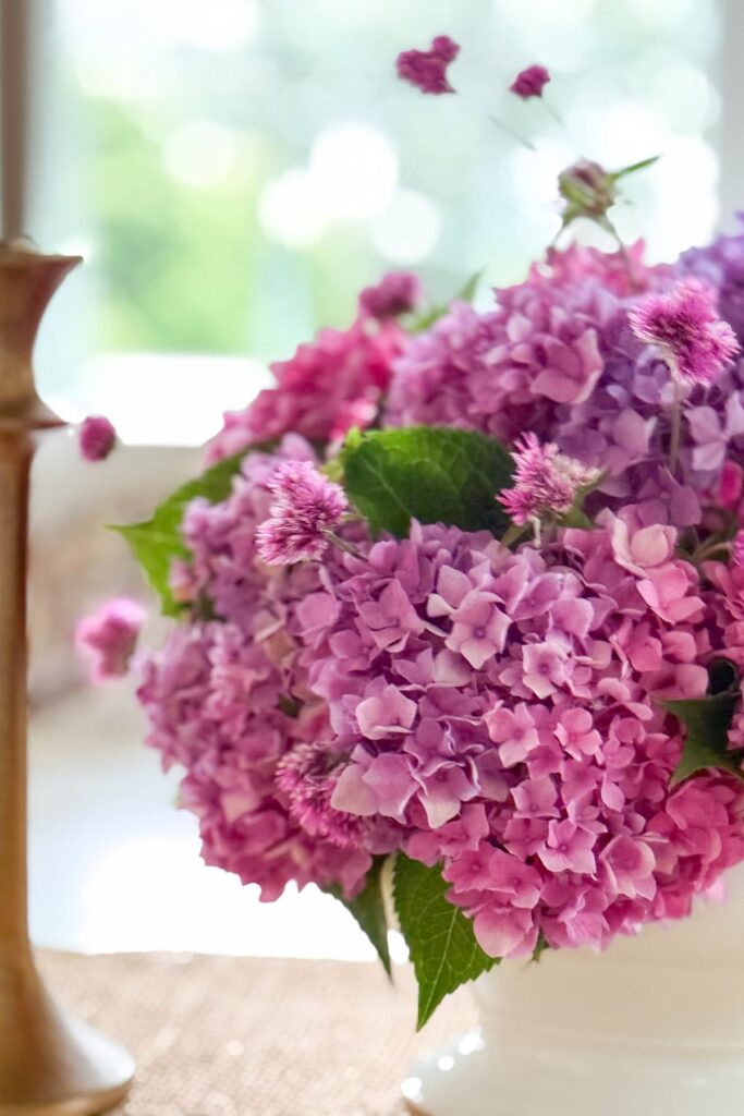 Fresh purple and pink bigleaf hydrangea blooms in a white footed bowl with gomphrena