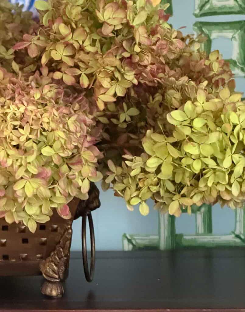 Fall Color Palettes