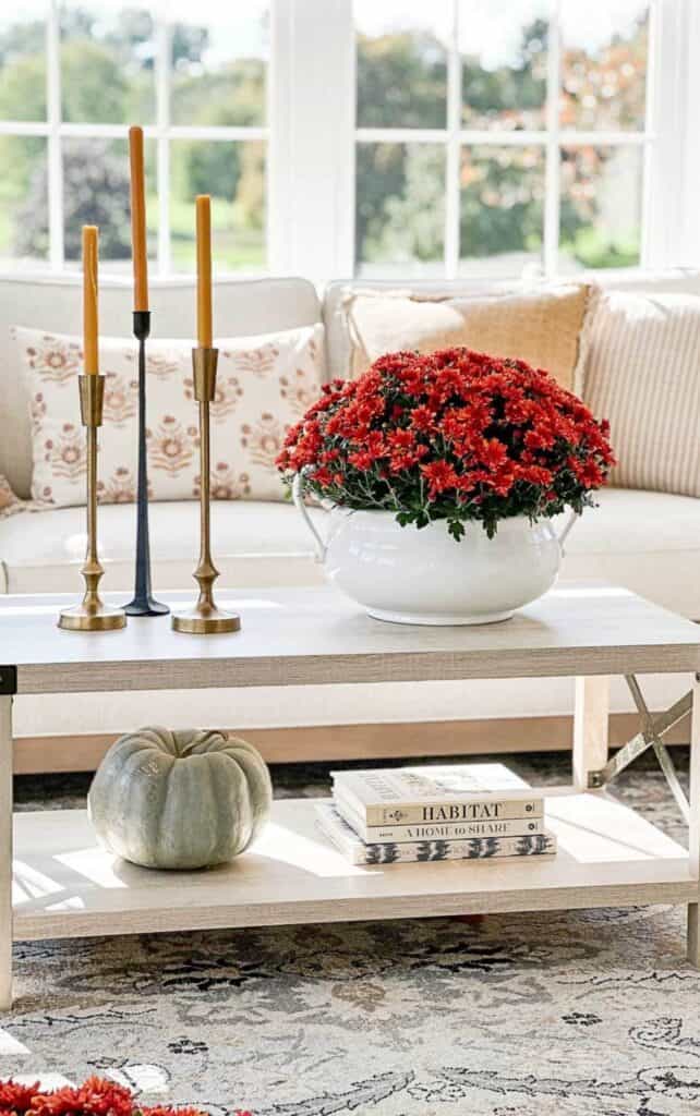 Elevated Fall Look
