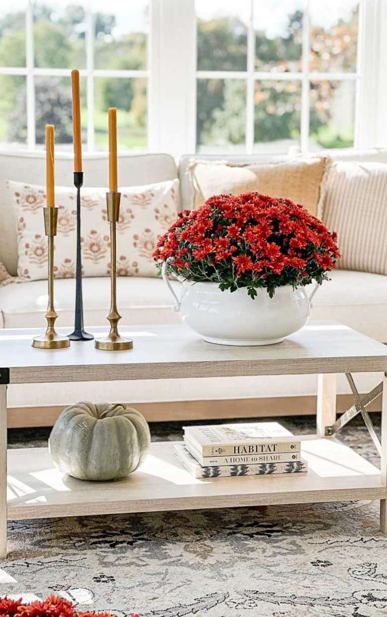 red mums in a white container on a small coffee table